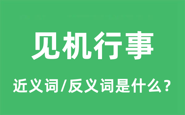 見機(jī)行事的近義詞和反義詞是什么,見機(jī)行事是什么意思