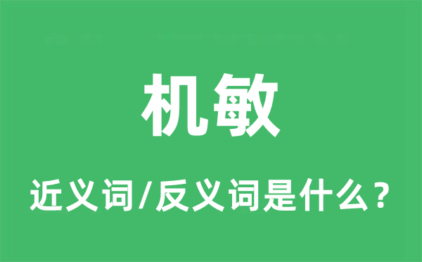 機(jī)敏的近義詞和反義詞是什么,機(jī)敏是什么意思