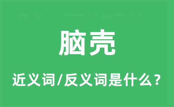 腦殼的近義詞和反義詞是什么,腦殼是什么意思
