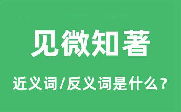 見微知著的近義詞和反義詞是什么,見微知著是什么意思