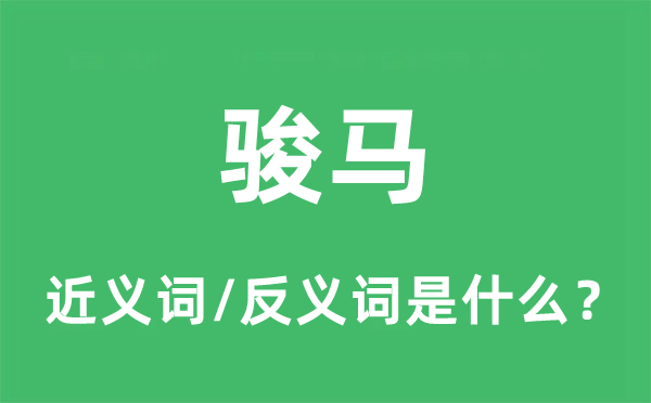 駿馬的近義詞和反義詞是什么,駿馬是什么意思
