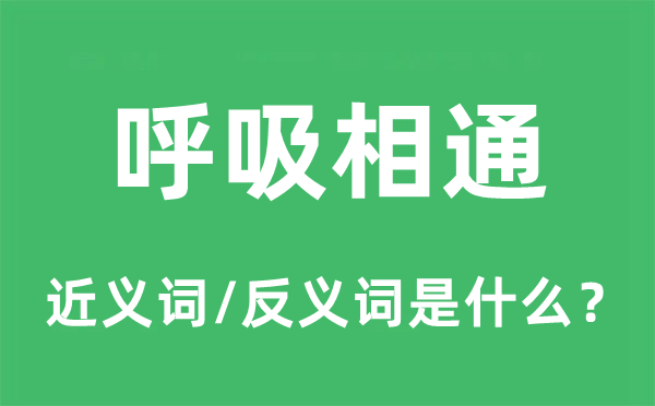 呼吸相通的近義詞和反義詞是什么,呼吸相通是什么意思