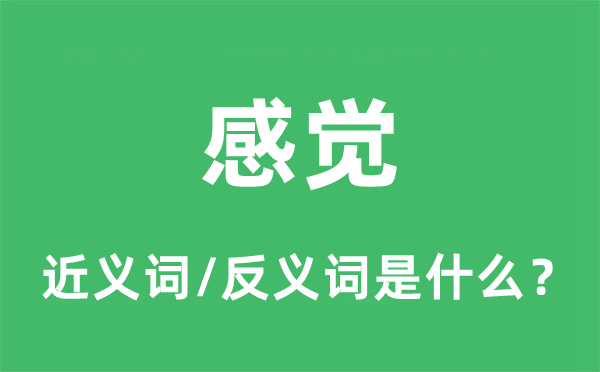 感覺(jué)的近義詞和反義詞是什么,感覺(jué)是什么意思