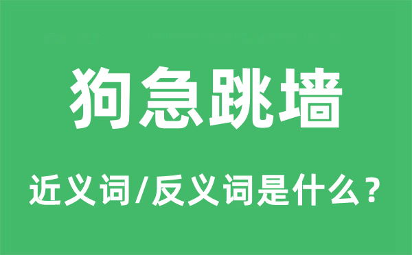 狗急跳墻的近義詞和反義詞是什么,狗急跳墻是什么意思