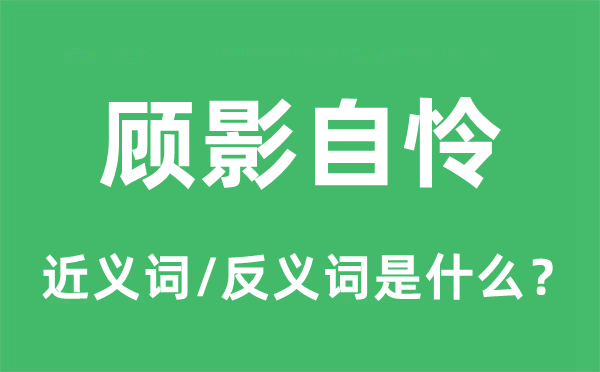 顧影自憐的近義詞和反義詞是什么,顧影自憐是什么意思