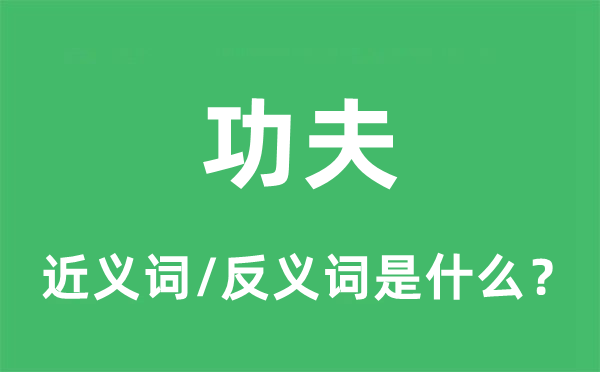 功夫的近義詞和反義詞是什么,功夫是什么意思