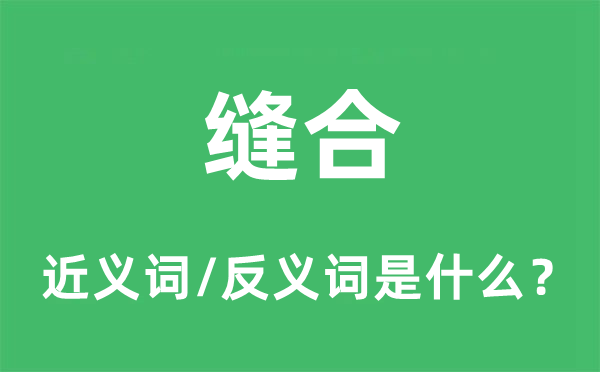 縫合的近義詞和反義詞是什么,縫合是什么意思