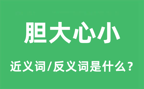 膽大心小的近義詞和反義詞是什么,膽大心小是什么意思