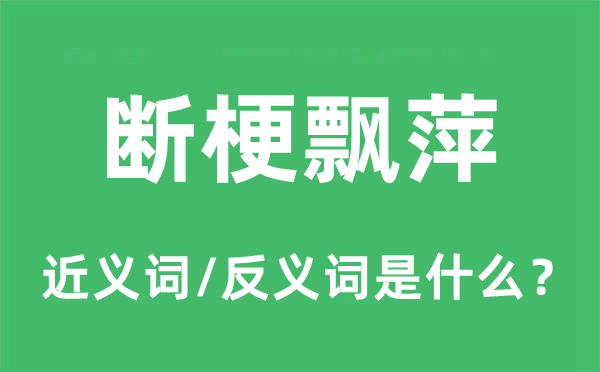 斷梗飄萍的近義詞和反義詞是什么,斷梗飄萍是什么意思