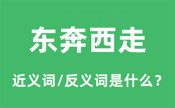 東奔西走的近義詞和反義詞是什么,東奔西走是什么意思