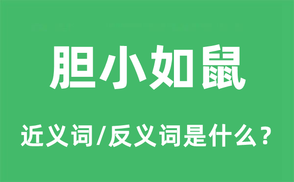 膽小如鼠的近義詞和反義詞是什么,膽小如鼠是什么意思