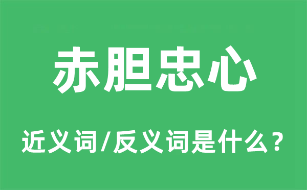 赤膽忠心的近義詞和反義詞是什么,赤膽忠心是什么意思