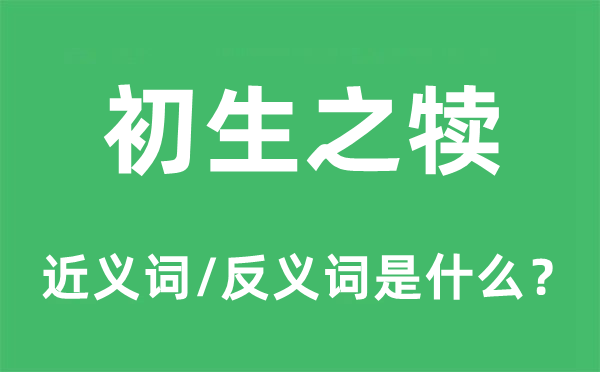 初生之犢的近義詞和反義詞是什么,初生之犢是什么意思