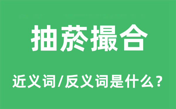 撮合的近義詞和反義詞是什么,撮合是什么意思