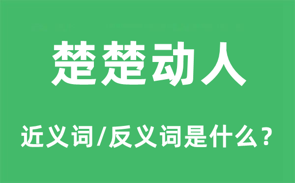 楚楚動(dòng)人的近義詞和反義詞是什么,楚楚動(dòng)人是什么意思