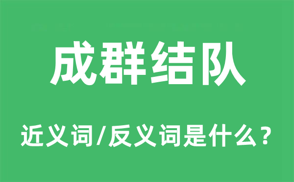 成群結(jié)隊(duì)的近義詞和反義詞是什么,成群結(jié)隊(duì)是什么意思