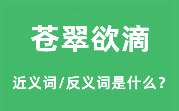 蒼翠欲滴的近義詞和反義詞是什么,蒼翠欲滴是什么意思