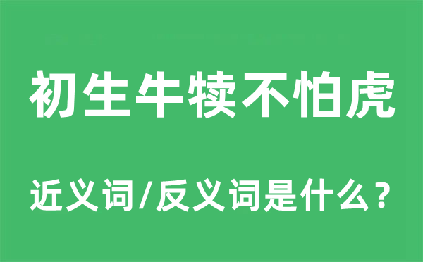 初生牛犢不怕虎的近義詞和反義詞是什么,初生牛犢不怕虎是什么意思