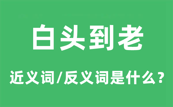 白頭到老的近義詞和反義詞是什么,白頭到老是什么意思