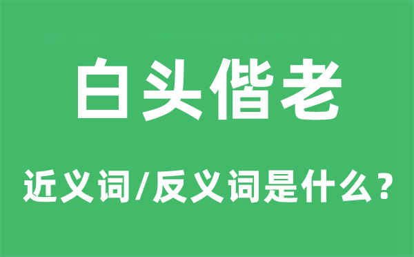 白頭偕老的近義詞和反義詞是什么,白頭偕老是什么意思