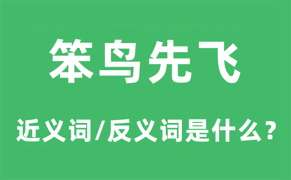 笨鳥先飛的近義詞和反義詞是什么,笨鳥先飛是什么意思