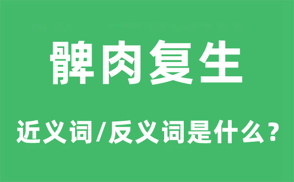 髀肉復生的近義詞和反義詞是什么,髀肉復生是什么意思