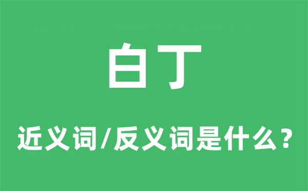 白丁的近義詞和反義詞是什么,白丁是什么意思