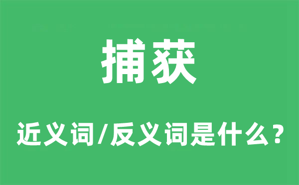 捕獲的近義詞和反義詞是什么,捕獲是什么意思