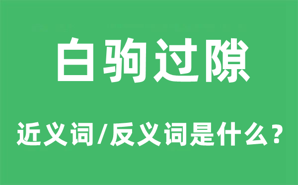 白駒過隙的近義詞和反義詞是什么,白駒過隙是什么意思