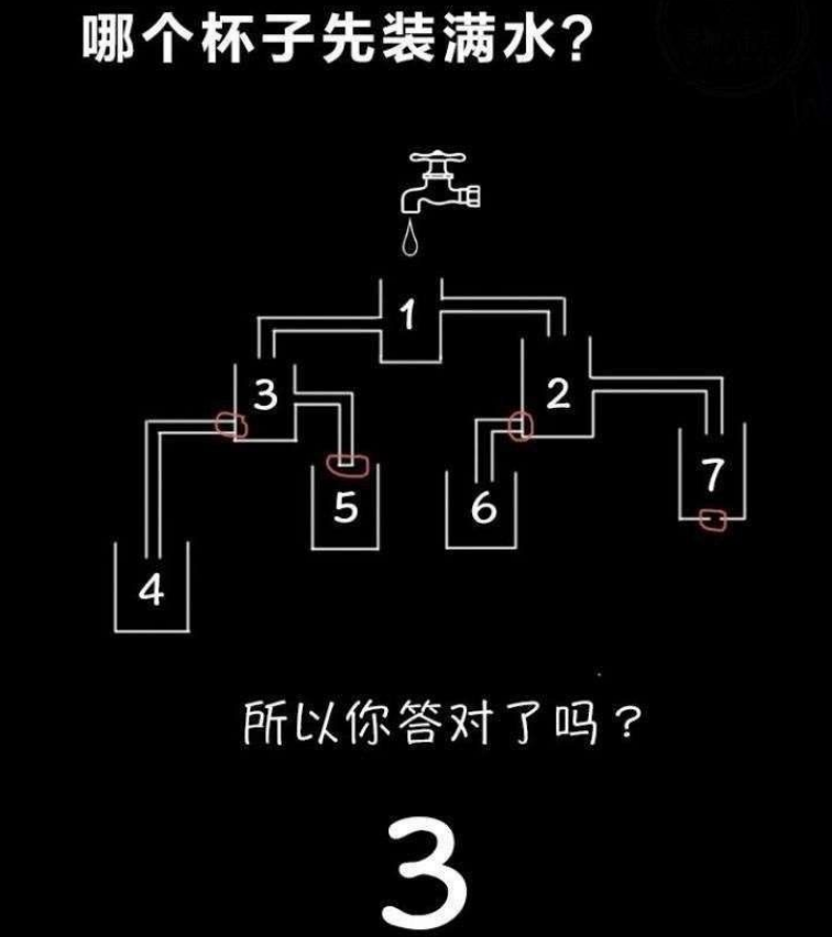 哪個(gè)杯子先裝滿水答案