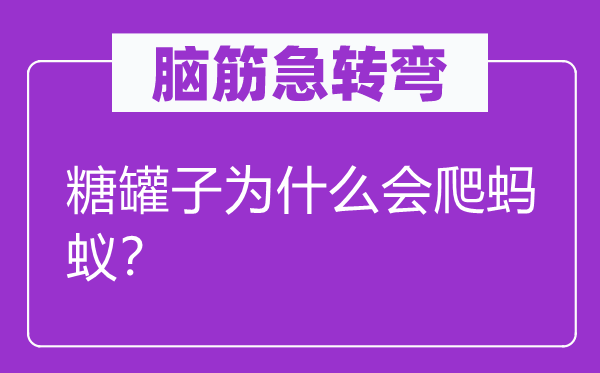 腦筋急轉(zhuǎn)彎：糖罐子為什么會(huì)爬螞蟻？