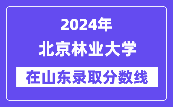 北京林業(yè)大學2024年在山東錄取分數(shù)線一覽表（2025年參考）