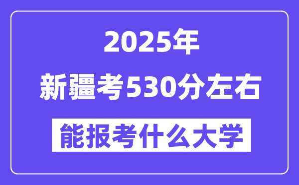 2025年新疆考530分左右能報(bào)考上什么大學(xué)?附位次排名對(duì)照表