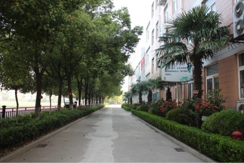 南京第二十九中學(xué)簡介概況（建校歷史、地址、師資、校訓(xùn)、環(huán)境）