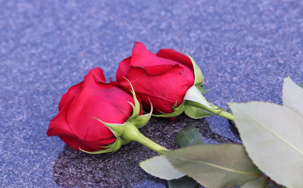 2026年情人節(jié)是幾月幾日,情人節(jié)送什么禮物給女朋友？