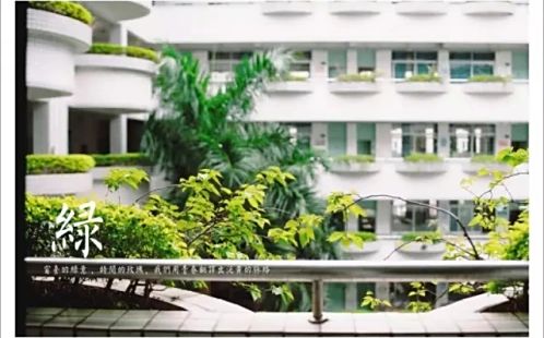 深圳市羅湖外語學校在深圳的排名第幾,屬于什么檔次？